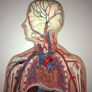 Meet your Posher, Fatima